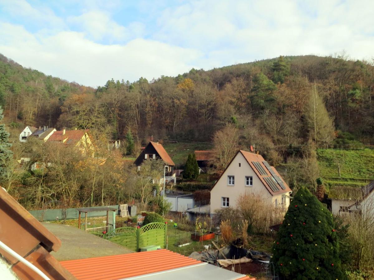 Ferienwohnung/monteurwohnung Meiser Apartment *