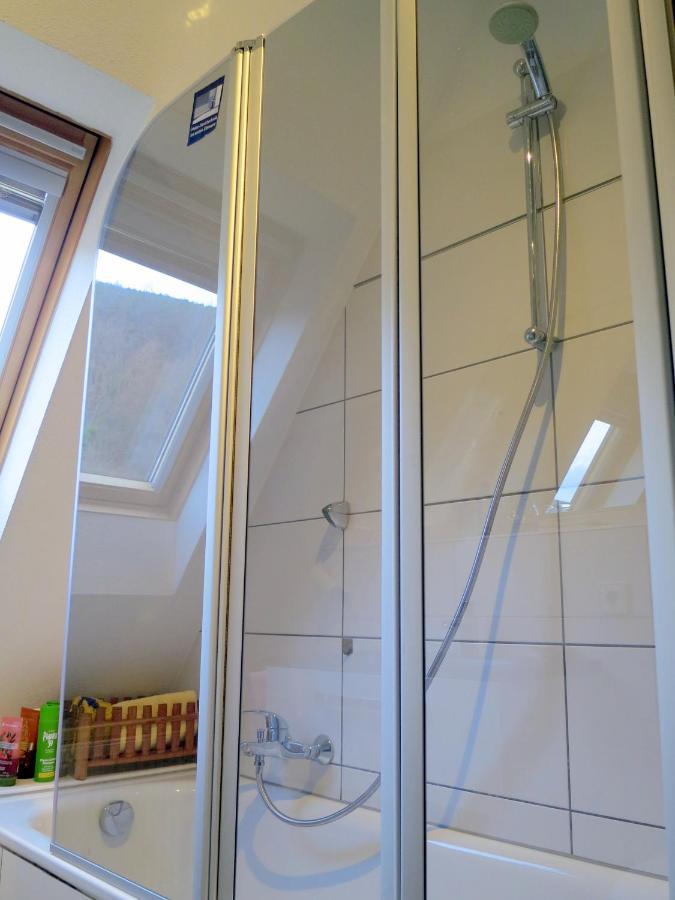 Ferienwohnung/monteurwohnung Meiser Apartment Lambrecht (Pfalz)