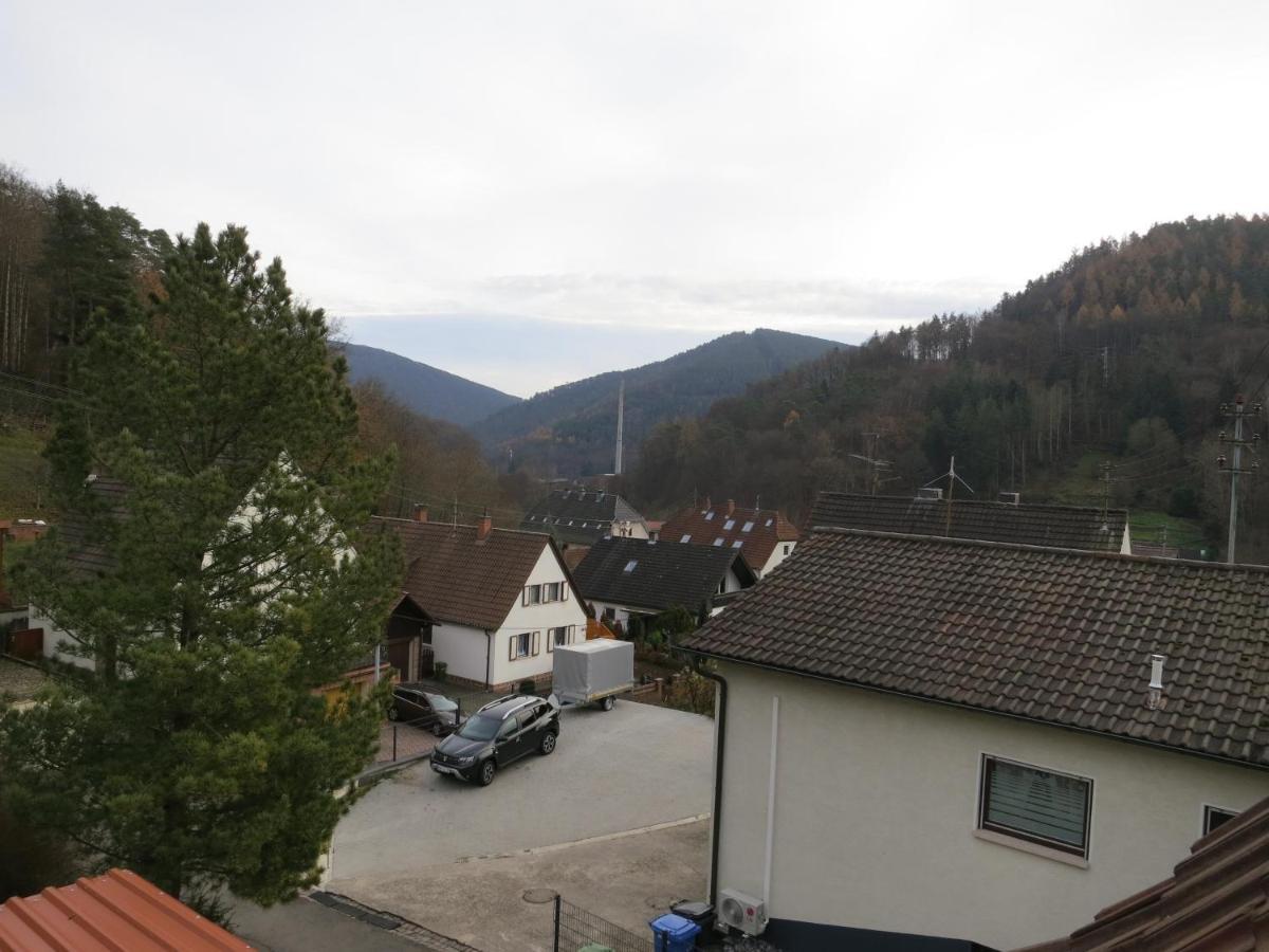 Ferienwohnung/monteurwohnung Meiser Apartment *