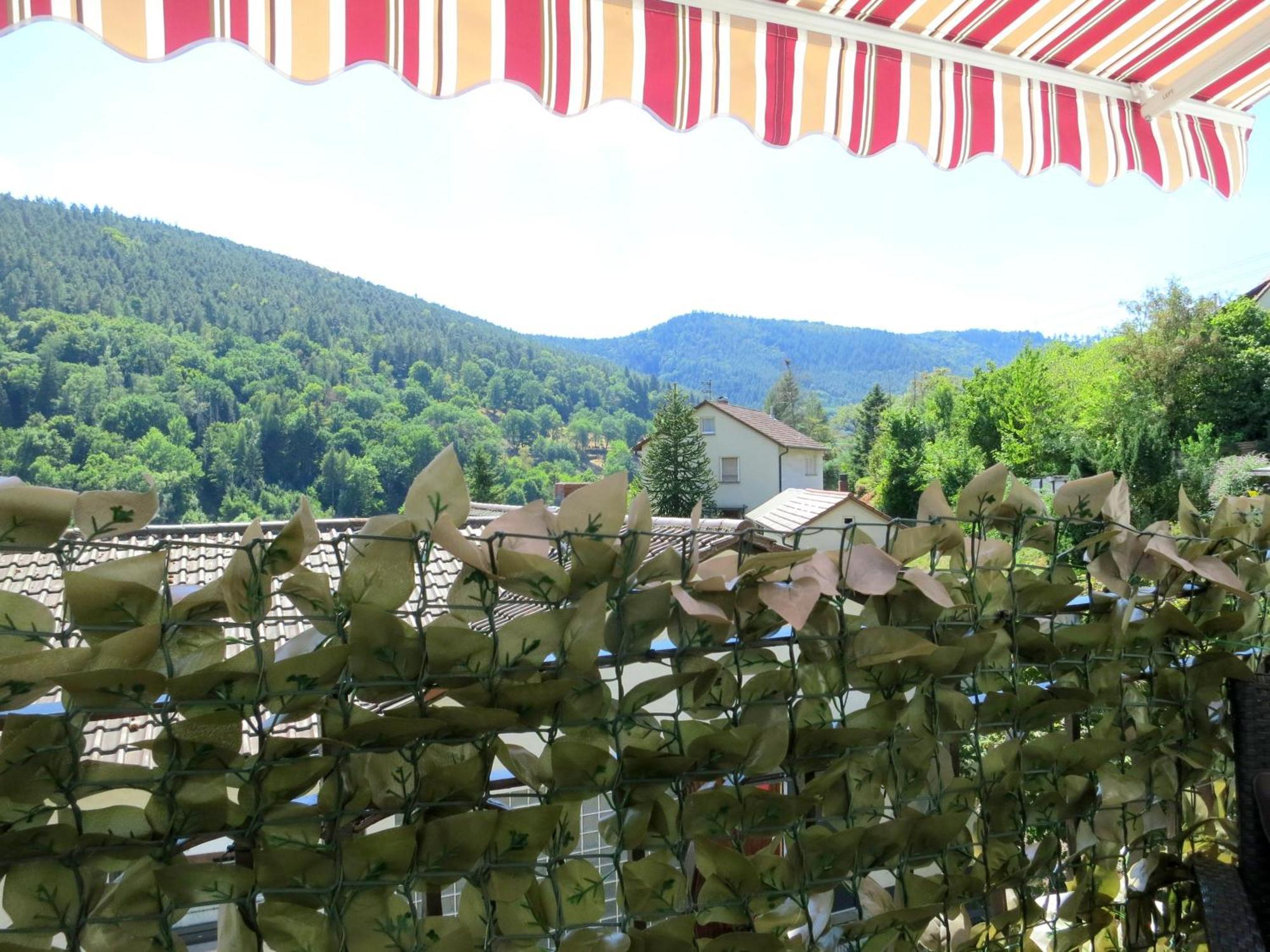 Apartment Ferienwohnung/monteurwohnung Meiser Lambrecht (Pfalz)