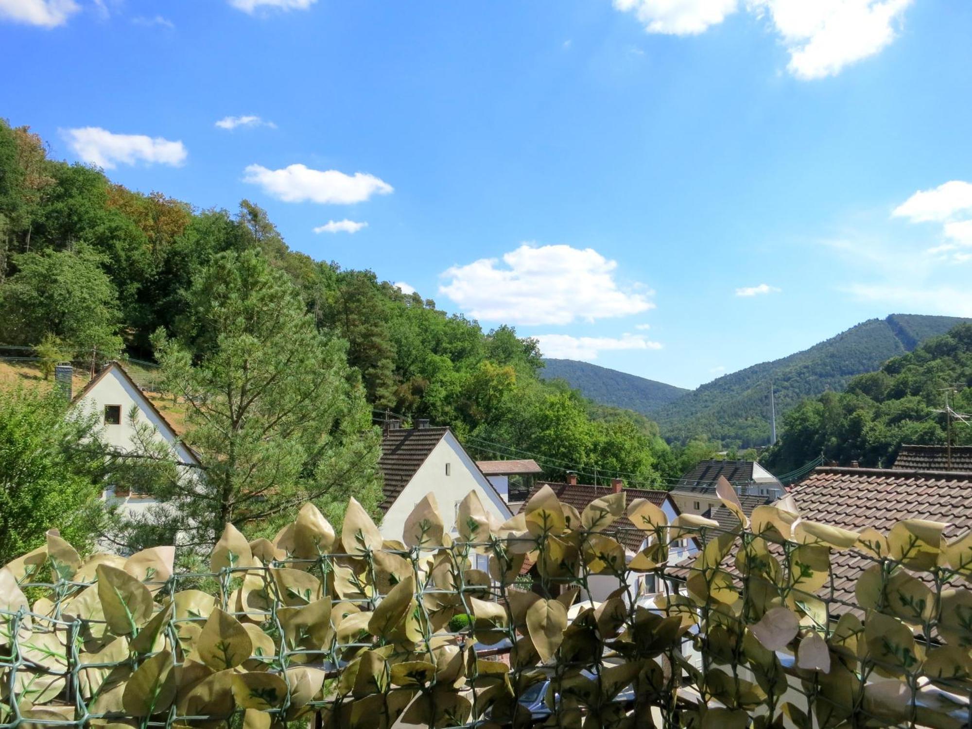 Ferienwohnung/monteurwohnung Meiser Apartment Lambrecht (Pfalz)